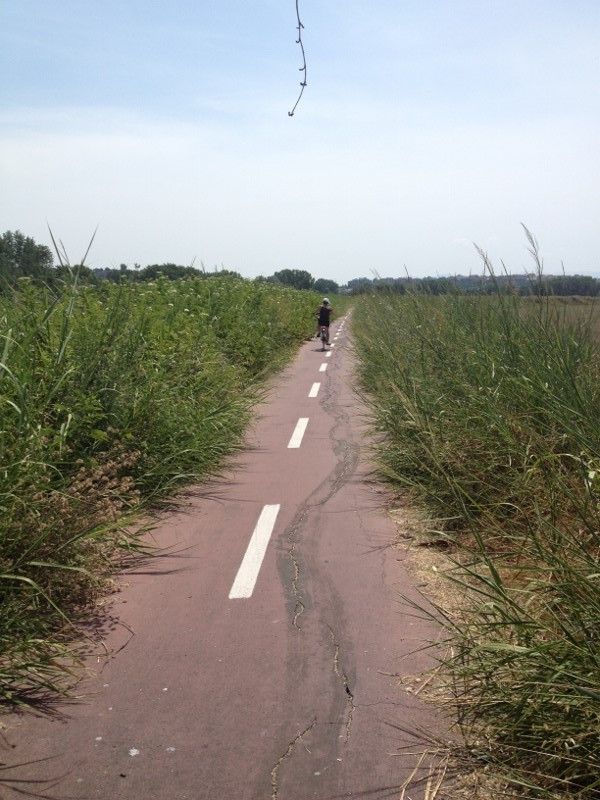 20160710_100000 Ciclabile TorDiQ-FossoDueP.jpg