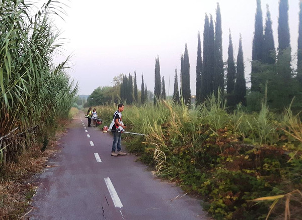 2016-08-28 Ciclabile Castel Giubileo.jpg